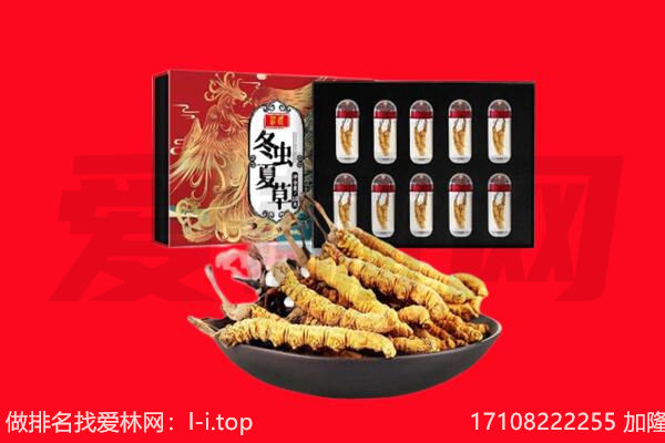 定西通渭县回收虫草.jpg